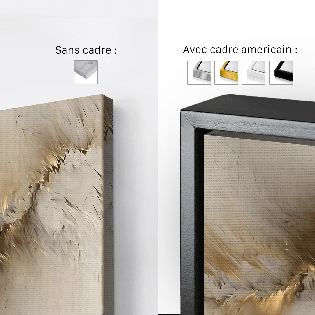 Nuage tableau décoratif Gold - Cadre américain - Planet House